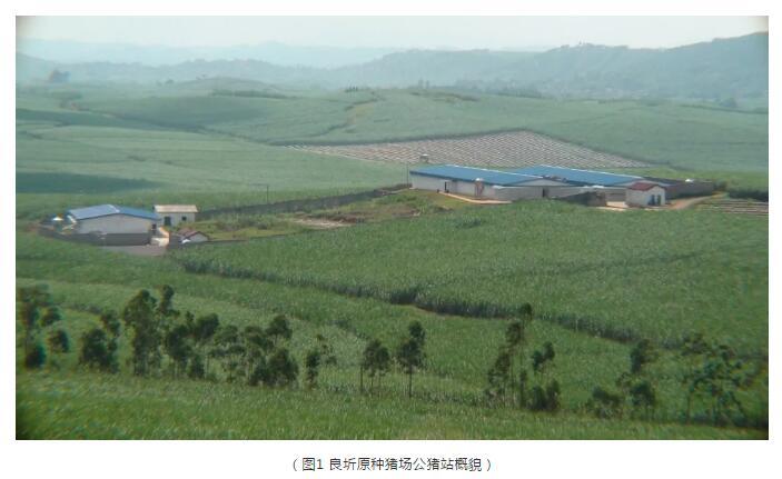 空氣過濾器技術在良圻原種豬場的應用 空氣過濾器技術在良圻原種豬場的應用